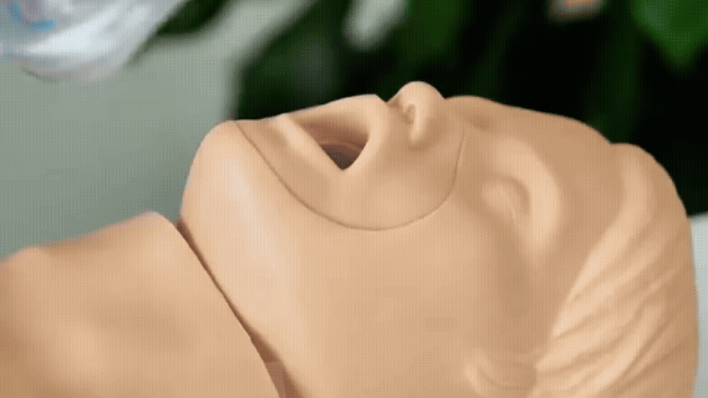 LifeGuard Pro - Emergency Choking Relief Device